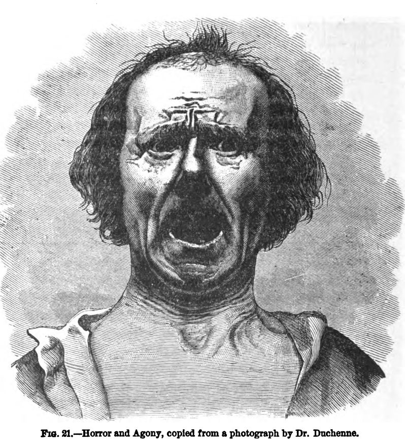 Horror and Agony. Fig. 21