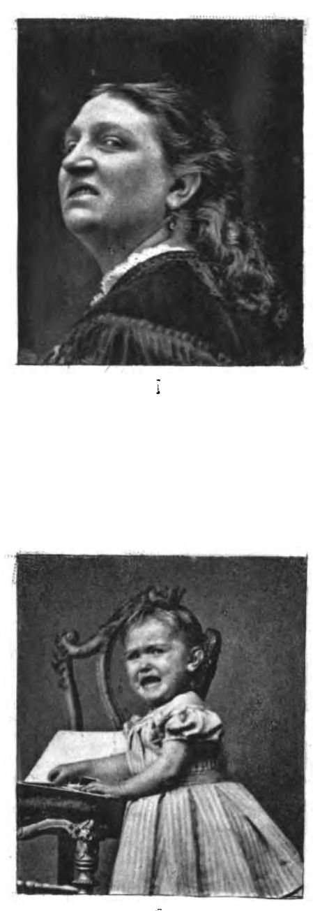 Ill-temper. Plate IV