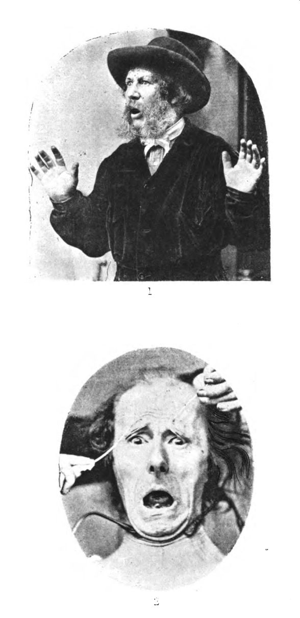 Gestures of the Body. Plate VII