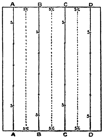 The crosses show where Myron set the strawberry plants.
The dotted lines signify the plantings of succession crops