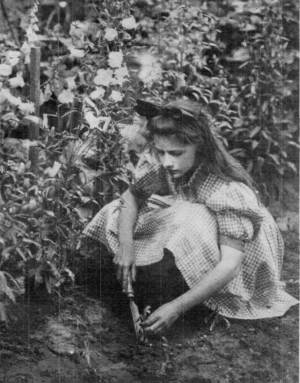 Photograph by Helen W. Cooke
Katherine Transplanting Her Flowers by a Method of Lifting.