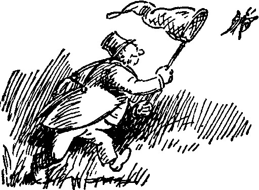 Man chasing butterflies