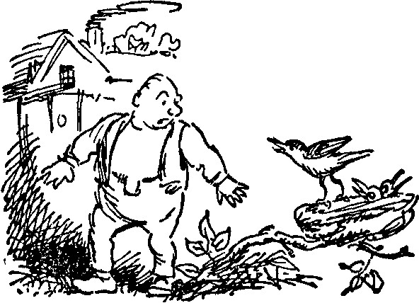 Bird scolding man near its nest