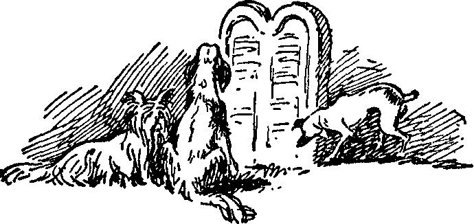 3 dogs viewing tablets of 10 Commandments