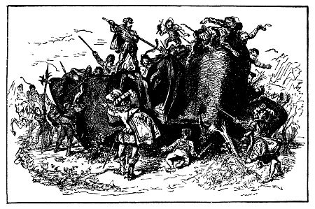 Illustration Illustration