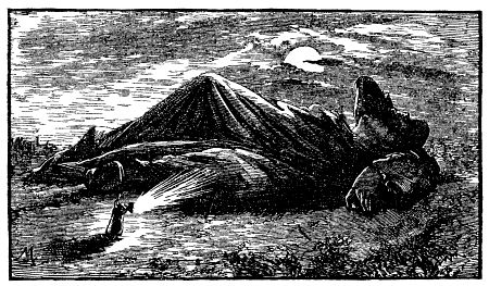 Illustration Illustration