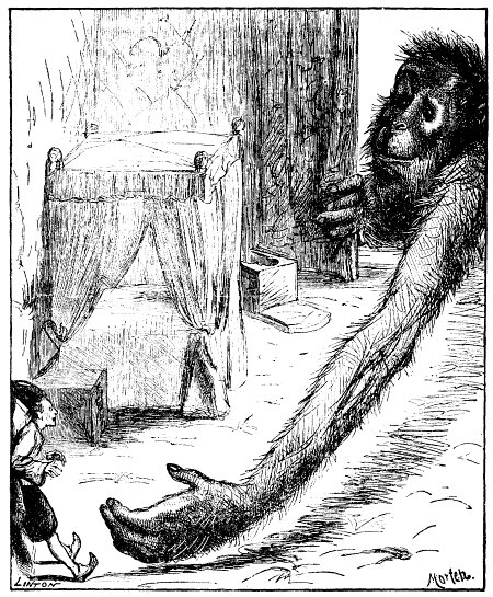 Illustration Illustration