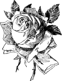 Tail-piece Tail-piece