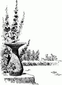 The garden next fell under Katherine's care The garden next fell under Katherine's care