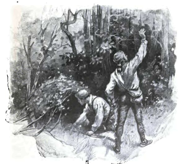 Lost in the Woods 172