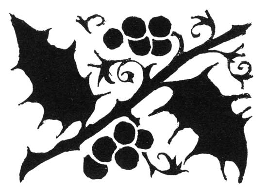 THE FIRST OF THE THREE SPIRITS