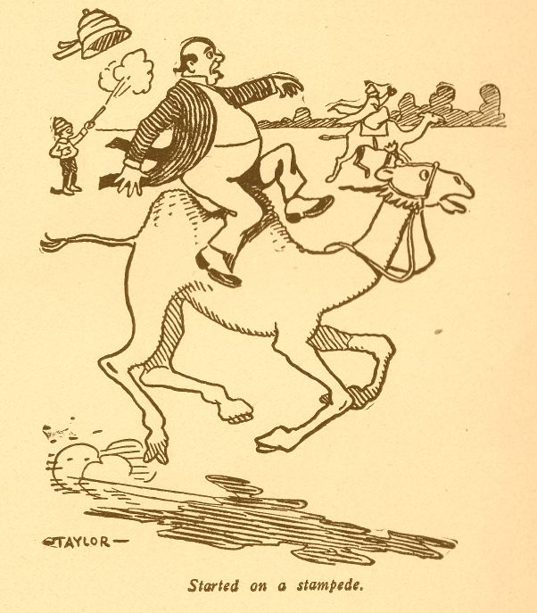 Started on a Stampede for the Pyramids 311