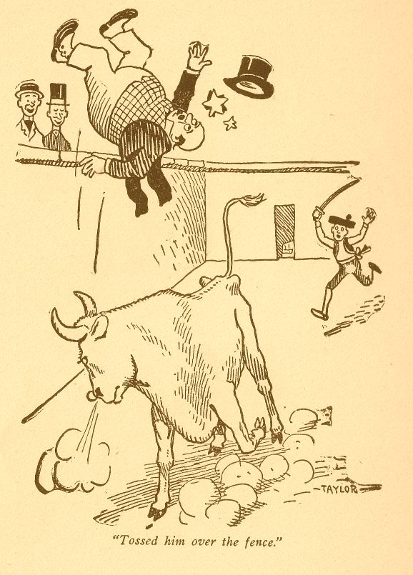 Dad's Pants Stayed on the Bull's Horns 349