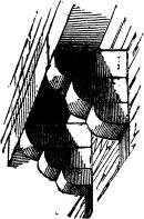 Fig. XXXVIII. Fig. XXXVIII.