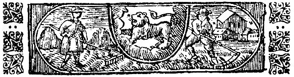 July Woodcut Illustration July Woodcut Illustration