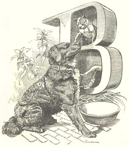 Dog and cat Dog and cat