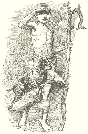 Tom and dog Tom and dog