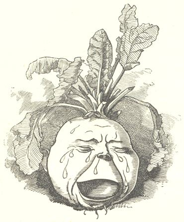 The turnip The turnip