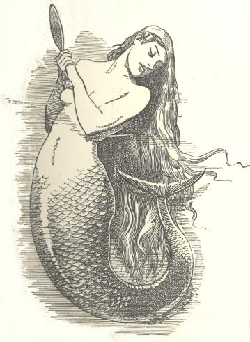 Mermaid Mermaid