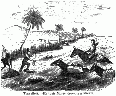 Travellers, with their Mules, crossing a Stream. Three mules in a river; one being ridden and another being coaxed by another man.