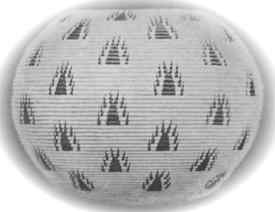 Washoe baskets made by Dat-so-la-le, 'Happy Homes' design