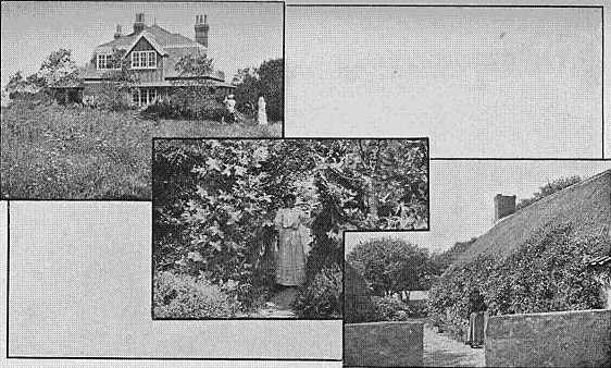 The Red House. The gap in the hedge. The cottage.