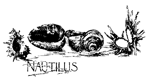 NAUTILUS NAUTILUS