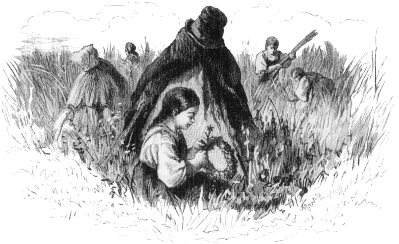 HANSA'S GUARDIAN. HANSA'S GUARDIAN.