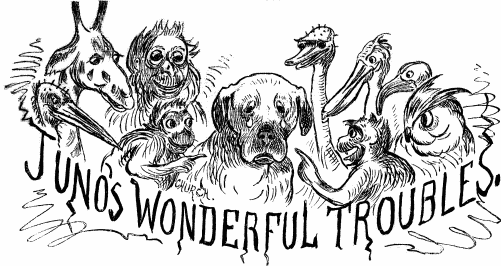JUNO'S WONDERFUL TROUBLES. JUNO'S WONDERFUL TROUBLES.