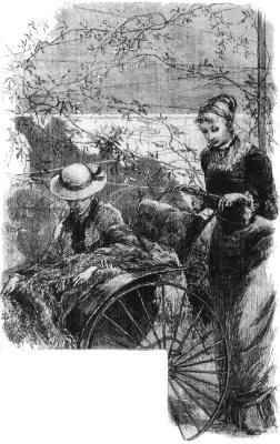 MISS CELIA AND THORNY. MISS CELIA AND THORNY.