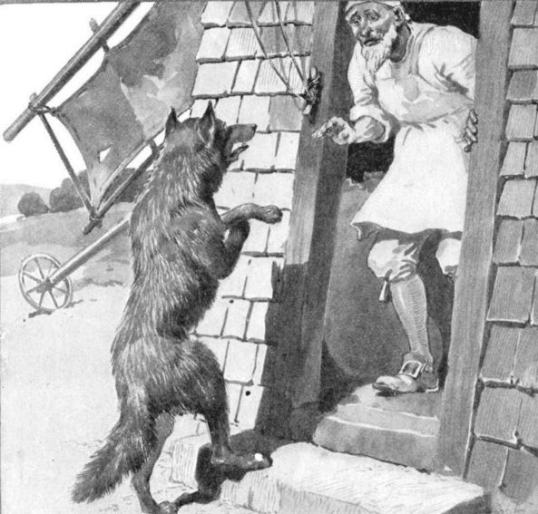 Wolf and Miller Wolf and Miller