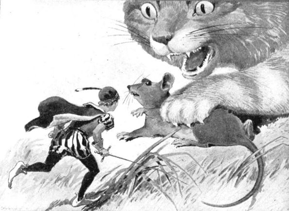 Tom Saves Mouse Tom Saves Mouse