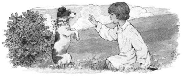 Did you ever see a dog with such bright eyes? Did you ever see a dog with such bright eyes?