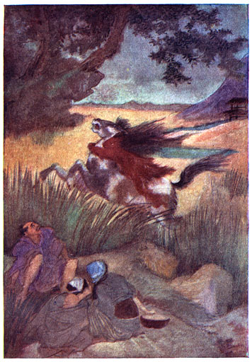 De Kappa en zijn Slachtoffer