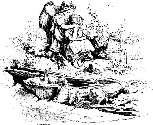 THE SURPRISE THE SURPRISE