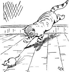 The boys wound it up... cat chases rat