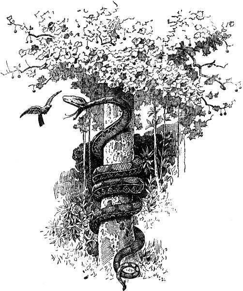 Decorative Decorative