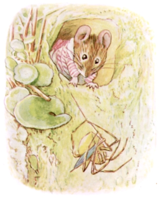 Out the window Out the window