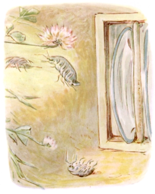 Creepy-crawly people Creepy-crawly people