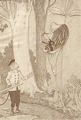 Monkey Thanks Jack in the Pulpit. Monkey Thanks Jack in the Pulpit.