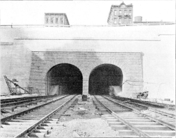 Plate LI, Fig. 2. Plate LI, Fig. 2.