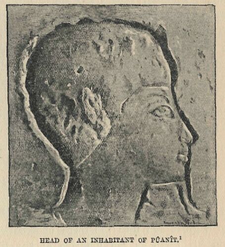 225.jpg Head of an Inhabitant Of PÛanÎt