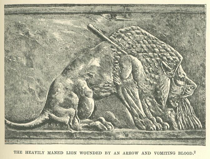 033.jpg the Heavily Maned Lion Wounded by an Arrow And Vomiting Blood.