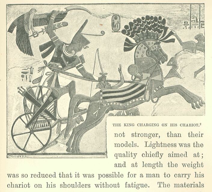 315.jpg the King Charging on his Chariot