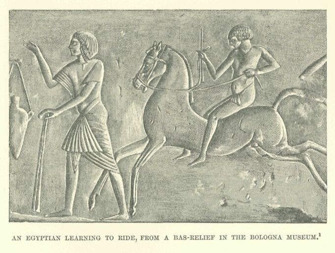 318.jpg an Egyptian Learning to Ride, from a Bas-relief In the Bologna Museum