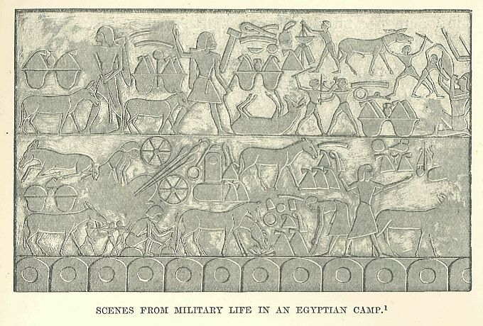 325.jpg Scenes from Military Life in an Egyptian Camp