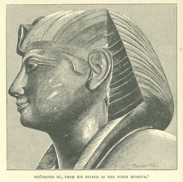 372.jpg Thutmosis Iii., from his Statue in the Turin Museum