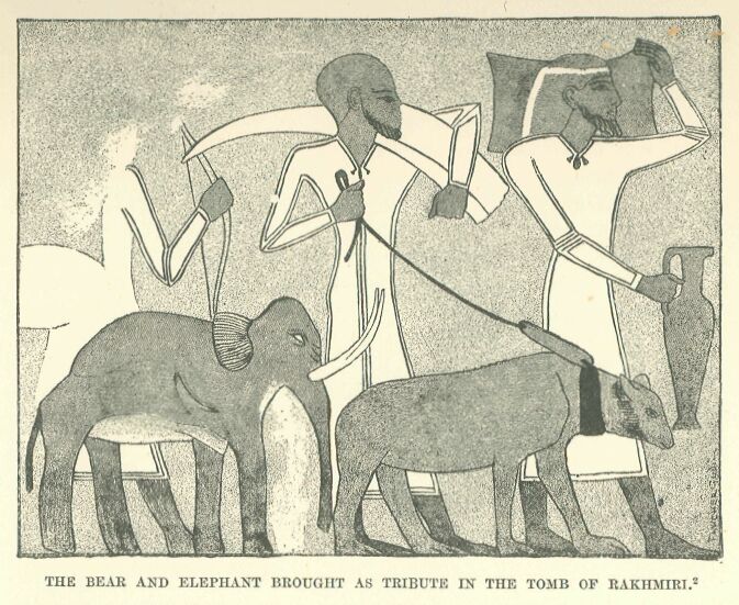 034.jpg. The Bear and Elephant Brought As Tribute in The Tomb of Rakhmiri