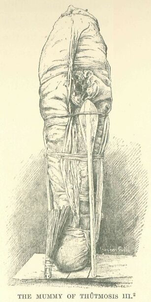 040.jpg the Mummy of Thutmosis III.