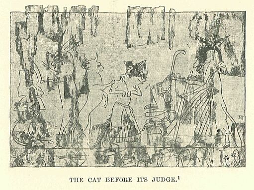 358.jpg the Cat Before Its Judge